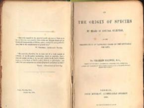 Первое издание «Происхождения видов» Дарвина продали за 172 тысячи долларов