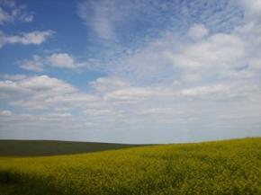 Спільна заява представників громадянського суспільства України щодо невідповідності пролонгації Угоди про перебування ЧФ РФ на території України національним інтересам України