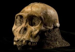 У Південній Африці знайшли останки людиноподібних істот