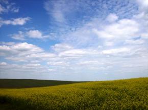 Україна відзначає День Незалежності