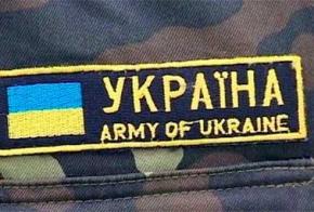 Міністерство оборони торгує американськими сухпайками, а українських військових годує сухарями?