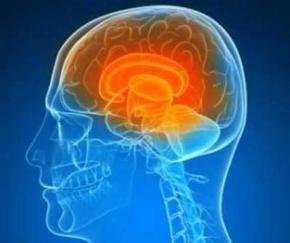 Ученые развеяли миф о том, что человек использует лишь 10% мозга