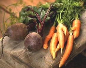 Россия готовит запрет на импорт лука, моркови и свеклы из Украины