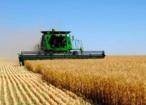 МВФ вимагає від України перевести аграріїв на загальний режим сплати ПДВ