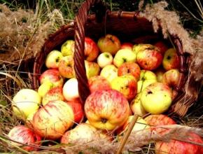 Сегодня, 19 августа в Украине празднуют Яблочный спас (Второй Спас), или Преображение Господне