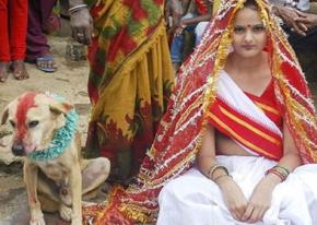 Індійська дівчина вийшла заміж за собаку