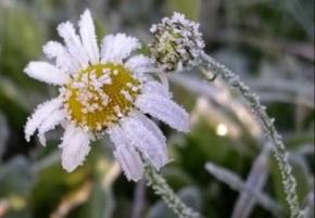 2 жовтня в Україні очікуються перші заморозки