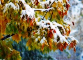 В пятницу в Украине мокрый снег, гололед и сильный ветер