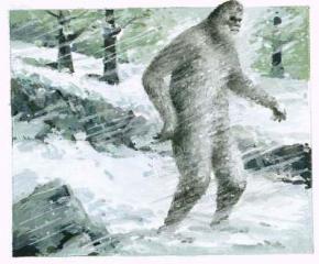 Житель США запропонував внести снігову людину в список вимираючих видів
