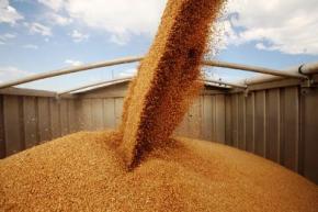Україна експортувала 12,7 млн. тонн зерна
