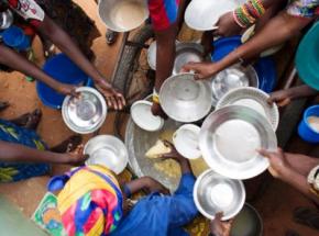 Треть жителей Земли страдает от голода или неполноценного питания