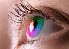 Ученые разгадали тайну цветного зрения