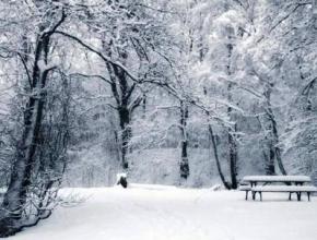 Найближчими днями в Україну прийде істотне похолодання зі снігом