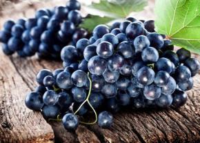 Употребление в пищу темного винограда помогает бороться с лишними жировыми клетками