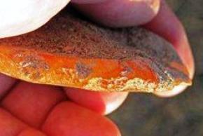 У США знайдено найдавніше на континенті кам'яне знаряддя
