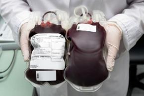 В Британии начнутся испытания искусственной крови