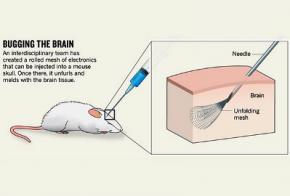 Нейрофизиологи научились вводить электронику в мозг крысы при помощи шприца