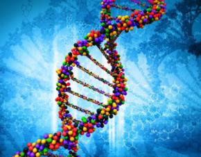 Ученые расшифровали ДНК человека возрастом 400 тысяч лет