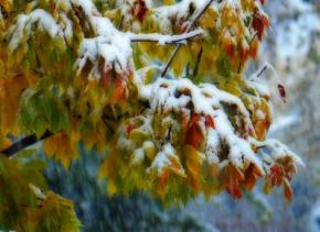 21 жовтня українців заллє дощем і занесе снігом