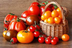 Користь і шкідливість помідорів