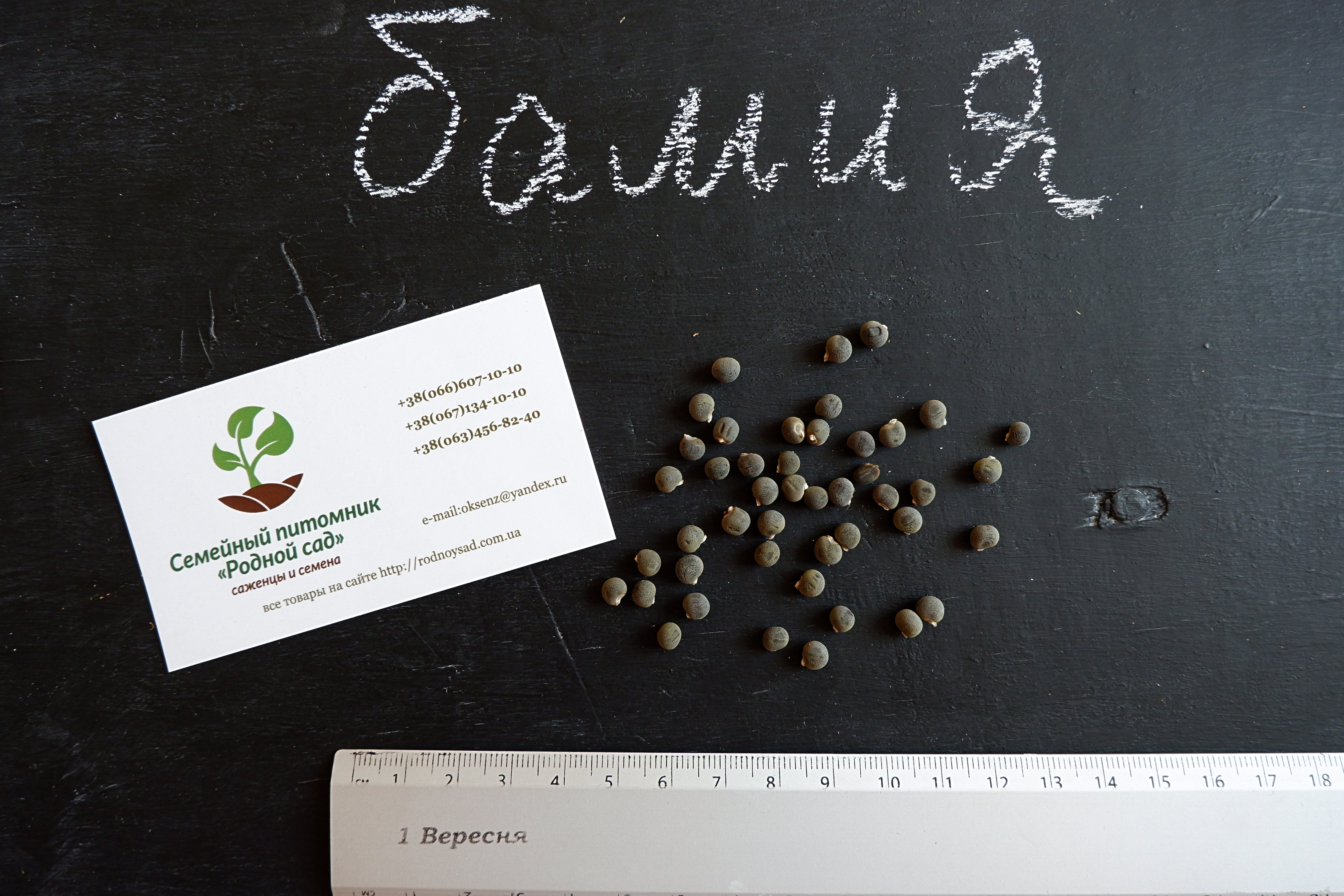 Съедобный 4 буквы. Семена абельмоша съедобного. Семена (10 пакетов). Кольцо семена Бабурина.