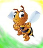 Інтернет-магазин бджільництва 