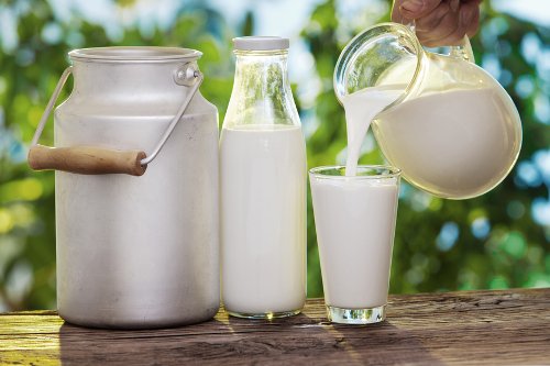 В Україні очікується дефіцит молока