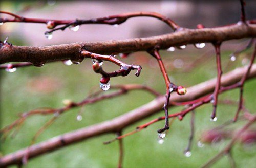 На выходные 18 и 19 марта в Украине обещают дожди